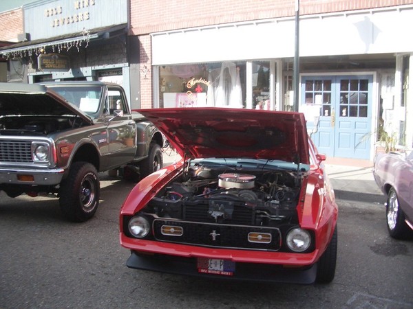 Jackson car show 2010 089
