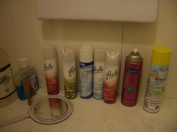 To answer your question, yes this bathroom was pretty stinky!
