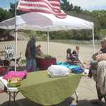 Memorial Day Picinc 2010 017