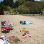 Memorial Day Picinc 2010 022