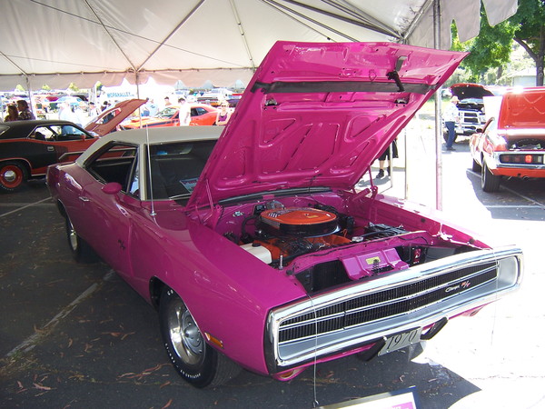 Mopar Alley Rally 2010 115