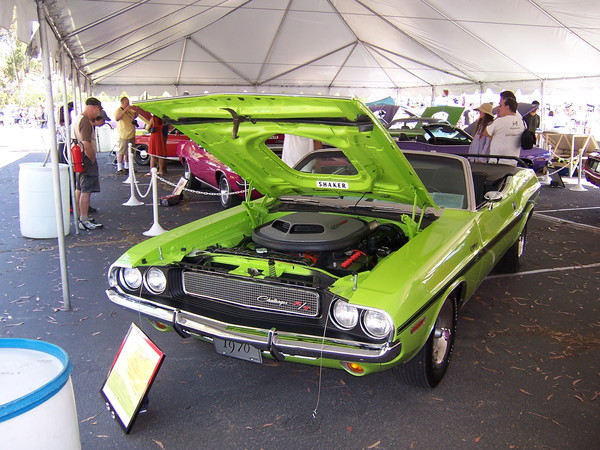 Mopar Alley Rally 2010 116