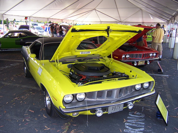 Mopar Alley Rally 2010 119