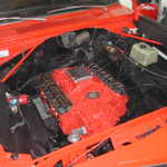 DSCN6084