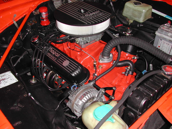 DSCN6135