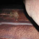 DSCN6162