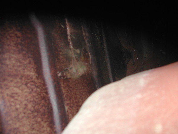 DSCN6164