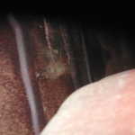 DSCN6164