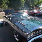 I found a great spot for my roadrunner.