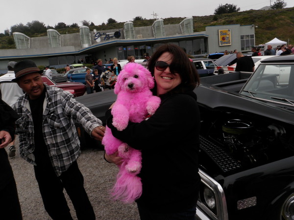 Yes that's a real pink dog.......Go figure???