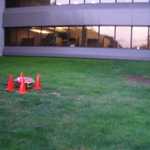 At first an empty lawn area........