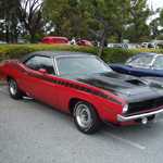 Car Crazy car show 2010 046
