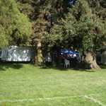 Before just an empty area of grass.