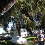 Me thinks a lynching is a coming??