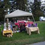 H2H 2010 car show 079