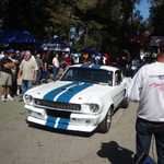 H2H 2010 car show 162