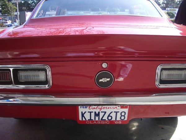Kim's new plates.  KIMZ6T8
