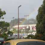 49er game 2010 016