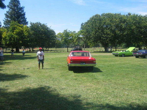 IMG 1323 20 1