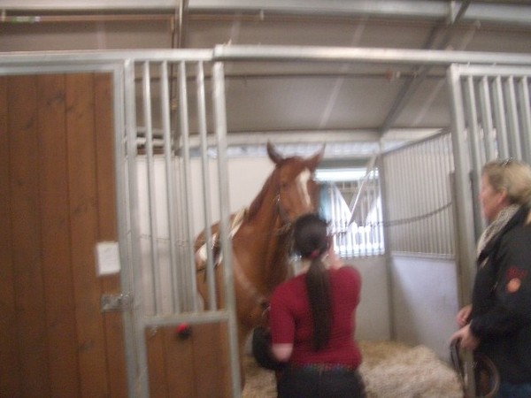 Deanna goes horseback riding March 2011 009