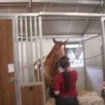 Deanna goes horseback riding March 2011 009