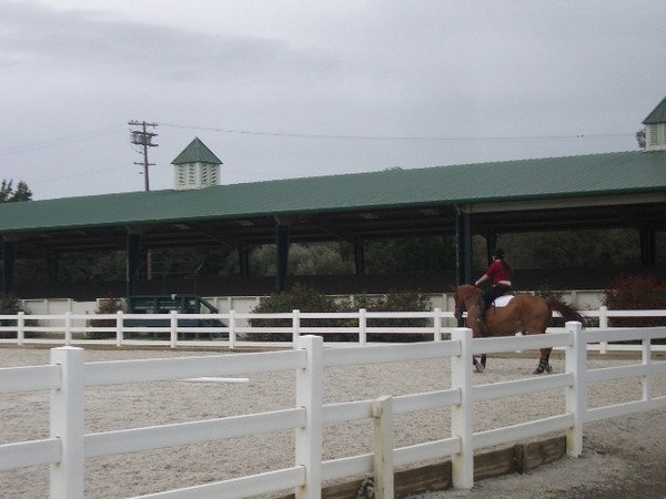 Deanna goes horseback riding March 2011 021