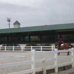 Deanna goes horseback riding March 2011 021