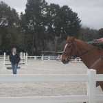 Deanna goes horseback riding March 2011 023