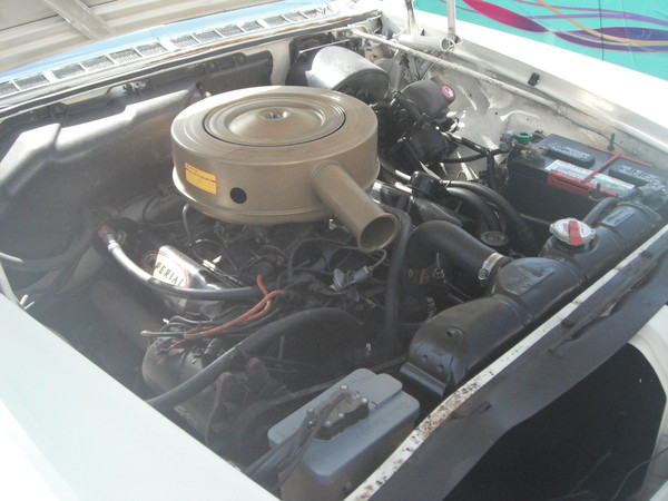 2011 PB&J lunch and car show 134