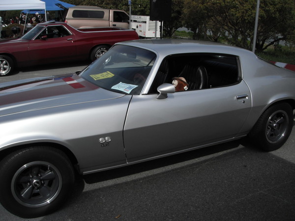 Hey Denise how come the camaro is not PINK???