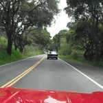 MPM Cheese Factory Cruise 2011 123
