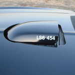 A 454 in a T/A???  What will they think of next??