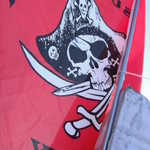 I got all the flags up today!