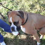 DSCF0959