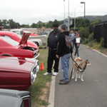 VCS car show 2011 049