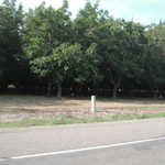 Any second i was ready for a yellow Dodge charger to come ripping out of the walnut groves!