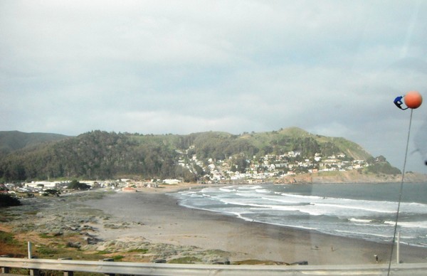 Welcome to Pacifica!