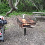 Memorial Day Picnic 2011 006