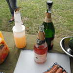 Memorial Day Picnic 2011 009