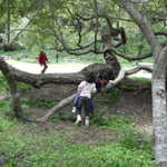 Memorial Day Picnic 2011 068