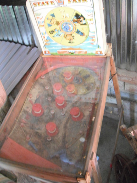 DSCF1924