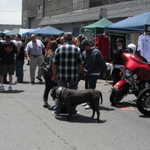 Laf-A-Lots car show 2011 087