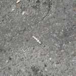 Now i know where my spark plug went that one very hot day!