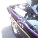 DSCF2799