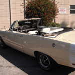 Gotelli's car show 2011 021