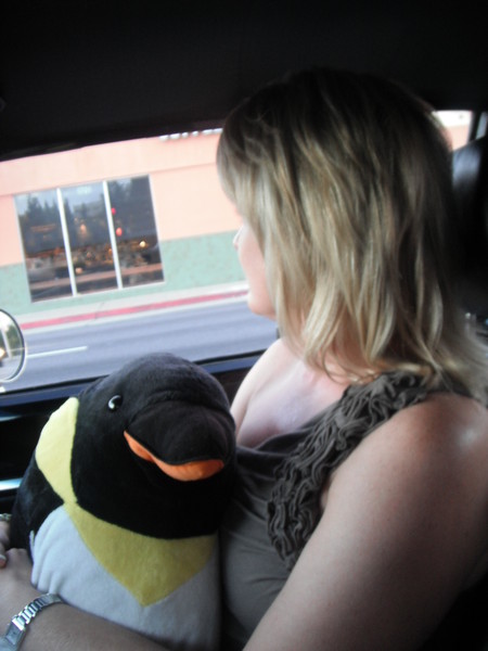 Back on the road and the Moparts penguin seems happy enough to share his seat.