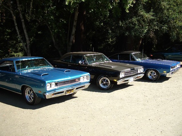 Three cool B-bodies