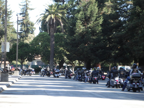 Veteran's Run