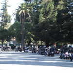 Veteran's Run
