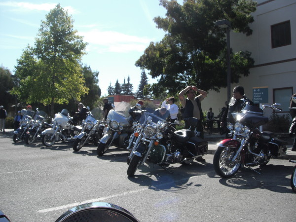 Veteran's Run